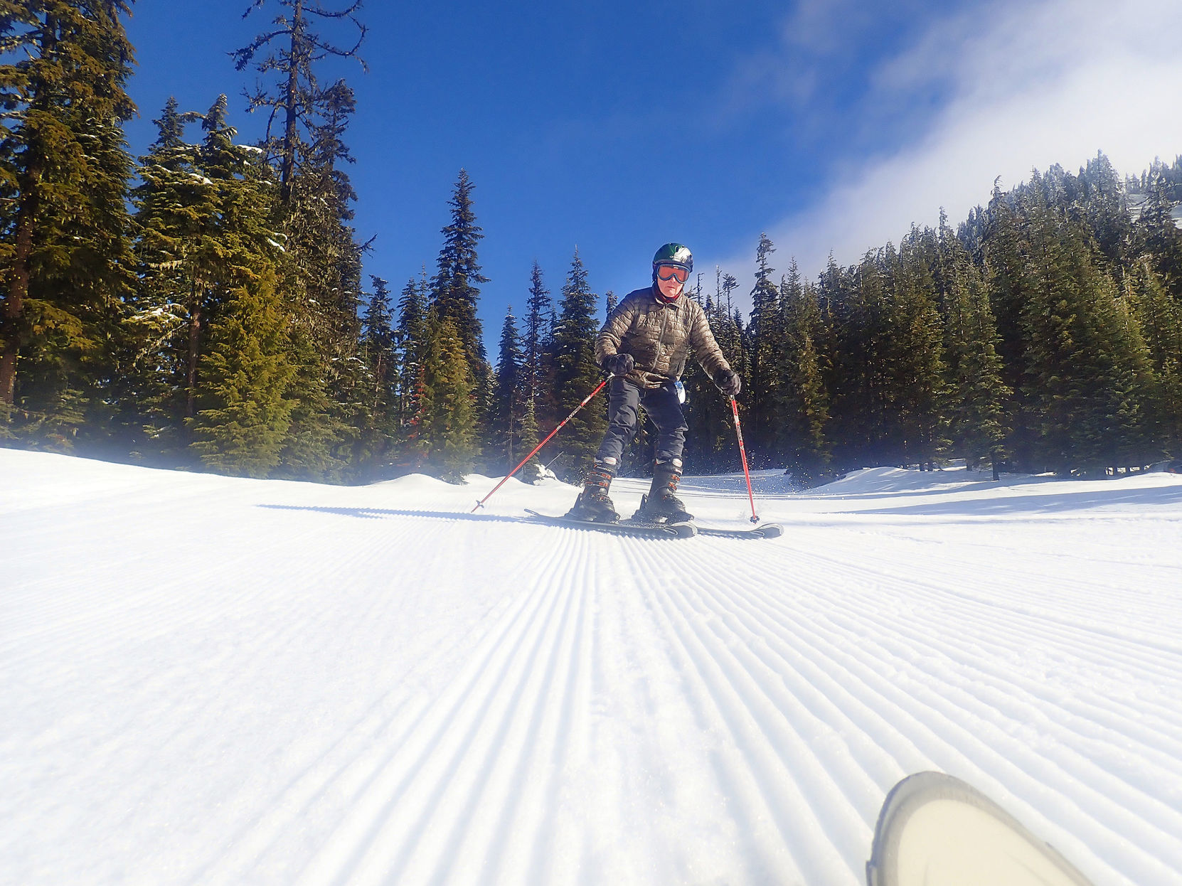 Willamette downhill skier